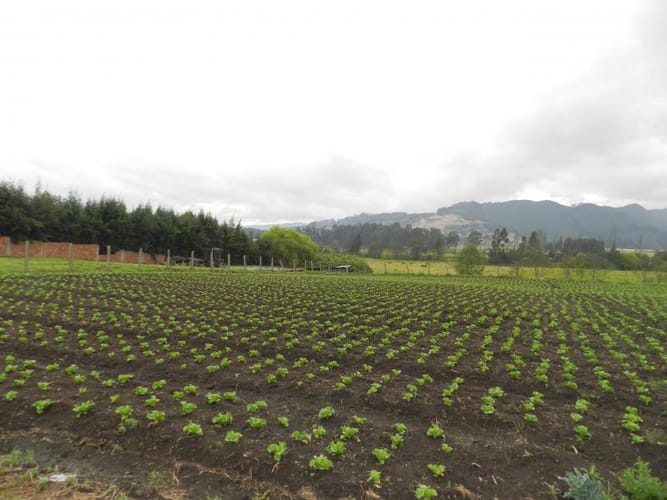 Lote en venta en Rio Grande, Cajicá, 12978 m² · foto 2 de 20