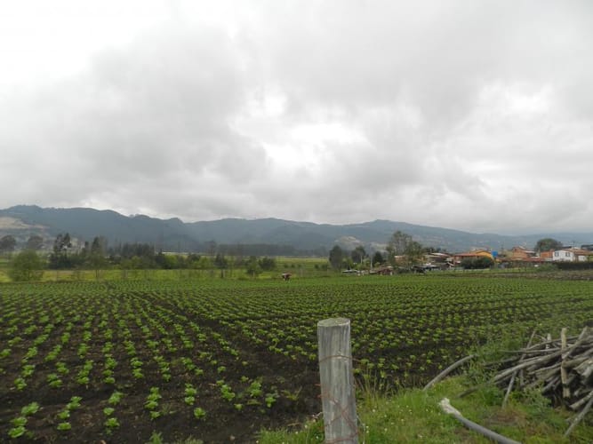 Lote en venta en Rio Grande, Cajicá, 12978 m² · foto 6 de 20