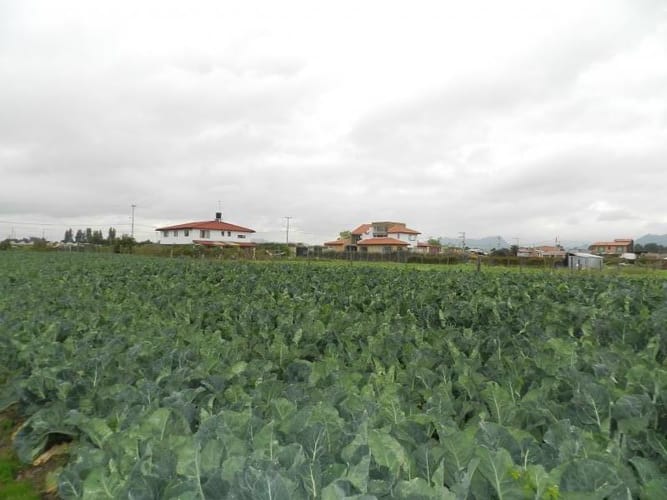 Lote en venta en Rio Grande, Cajicá, 12978 m² · foto 8 de 20