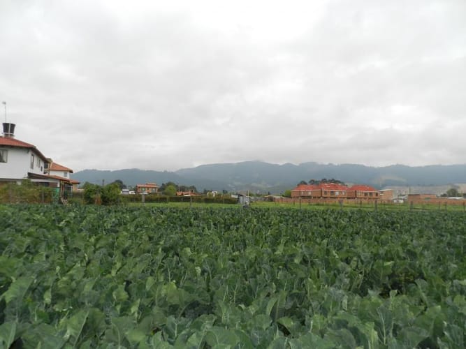 Lote en venta en Rio Grande, Cajicá, 12978 m² · foto 9 de 20