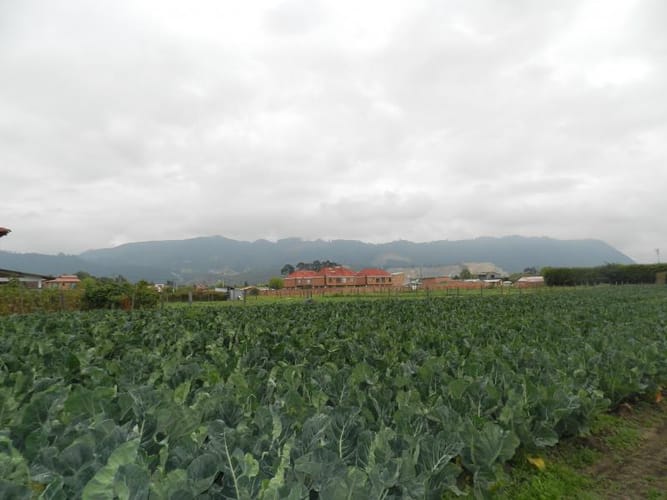 Lote en venta en Rio Grande, Cajicá, 12978 m² · foto 10 de 20