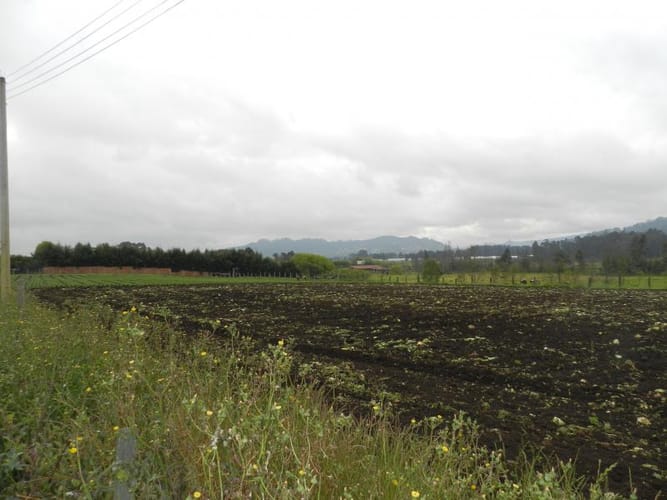 Lote en venta en Rio Grande, Cajicá, 12978 m² · foto 12 de 20