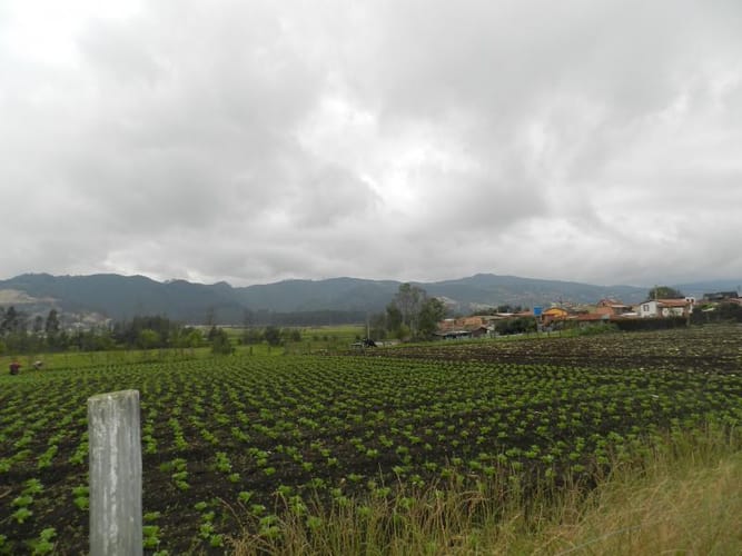 Lote en venta en Rio Grande, Cajicá, 12978 m² · foto 14 de 20