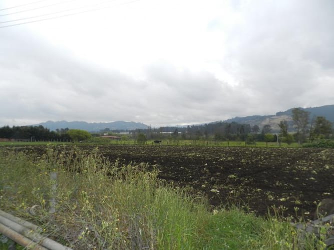 Lote en venta en Rio Grande, Cajicá, 12978 m² · foto 15 de 20