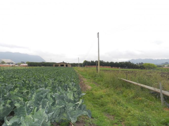 Lote en venta en Rio Grande, Cajicá, 12978 m² · foto 17 de 20