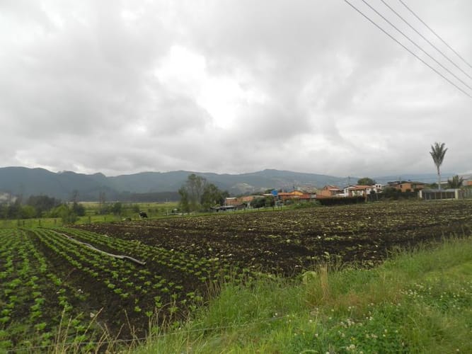 Lote en venta en Rio Grande, Cajicá, 12978 m² · foto 18 de 20