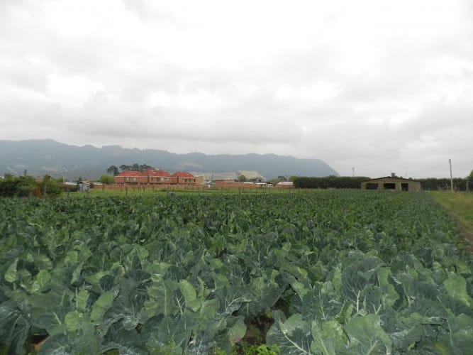 Lote en venta en Rio Grande, Cajicá, 12978 m² · foto 19 de 20