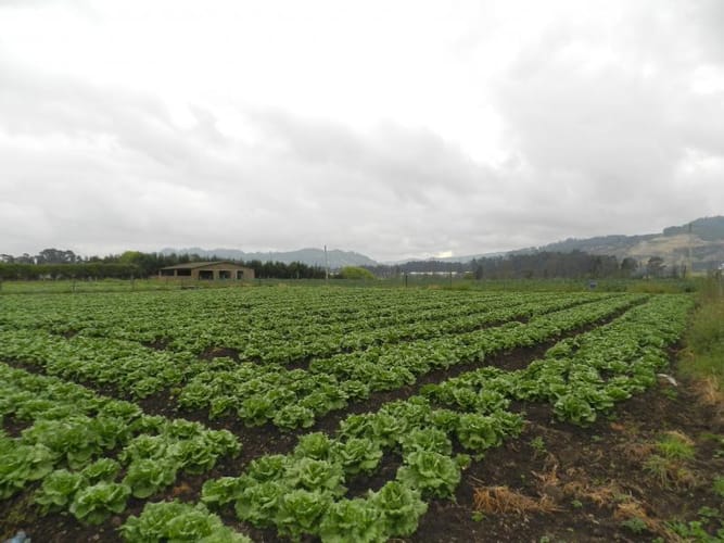 Lote en venta en Rio Grande, Cajicá, 12978 m² · foto 20 de 20