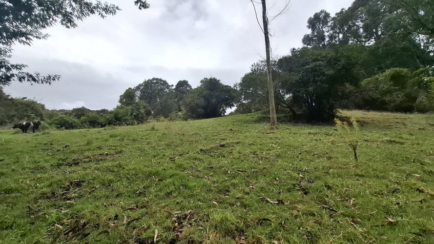 Finca en venta en Aposentos Parte Alta, Sopó · foto 3 de 24