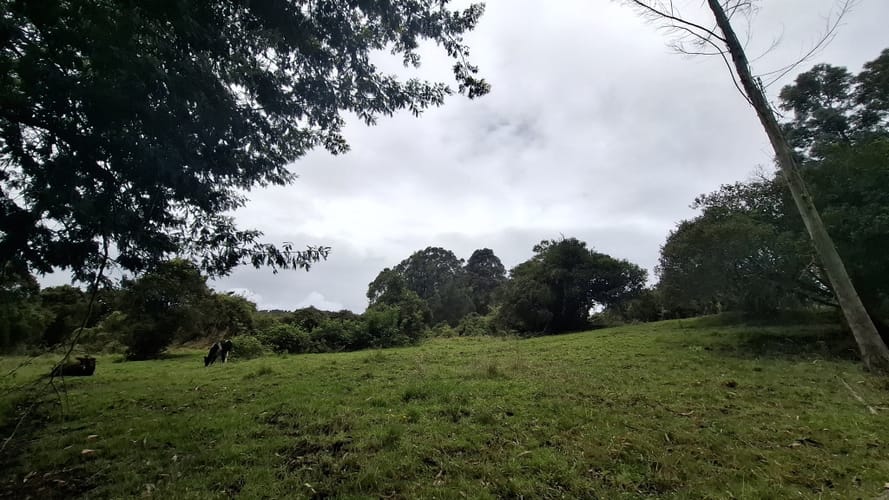 Finca en venta en Aposentos Parte Alta, Sopó · foto 5 de 24