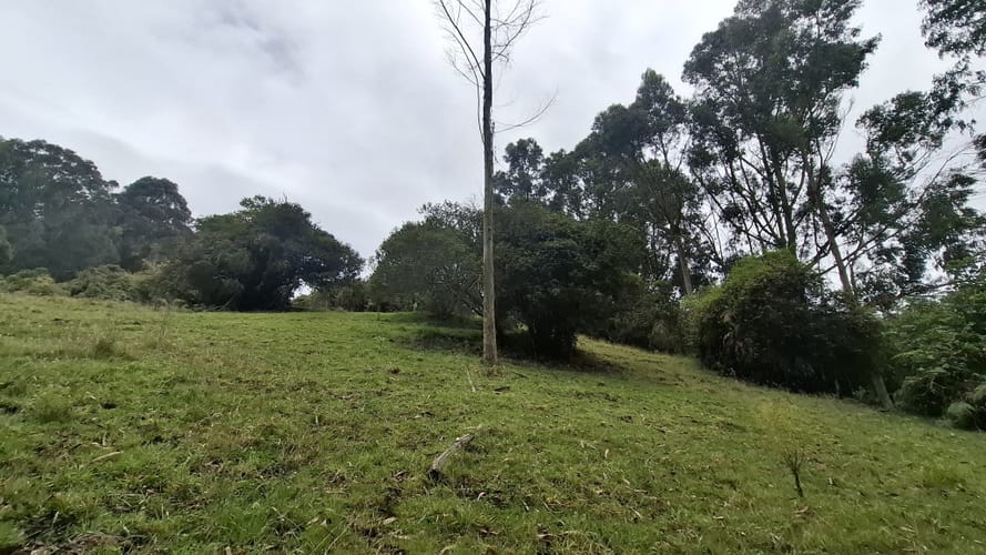 Finca en venta en Aposentos Parte Alta, Sopó · foto 6 de 24