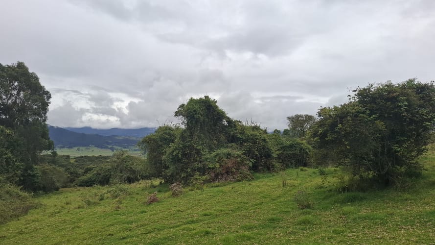 Finca en venta en Aposentos Parte Alta, Sopó · foto 8 de 24
