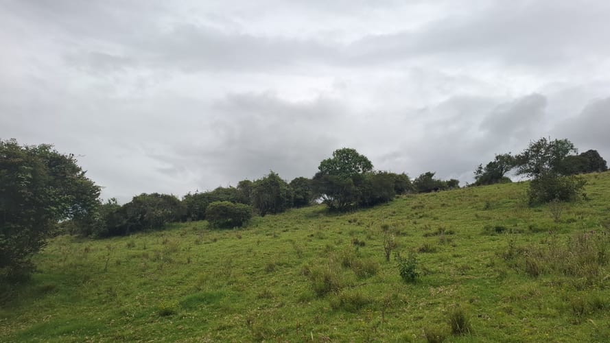 Finca en venta en Aposentos Parte Alta, Sopó · foto 9 de 24