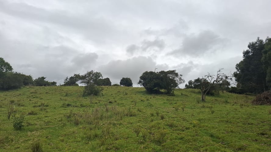 Finca en venta en Aposentos Parte Alta, Sopó · foto 10 de 24