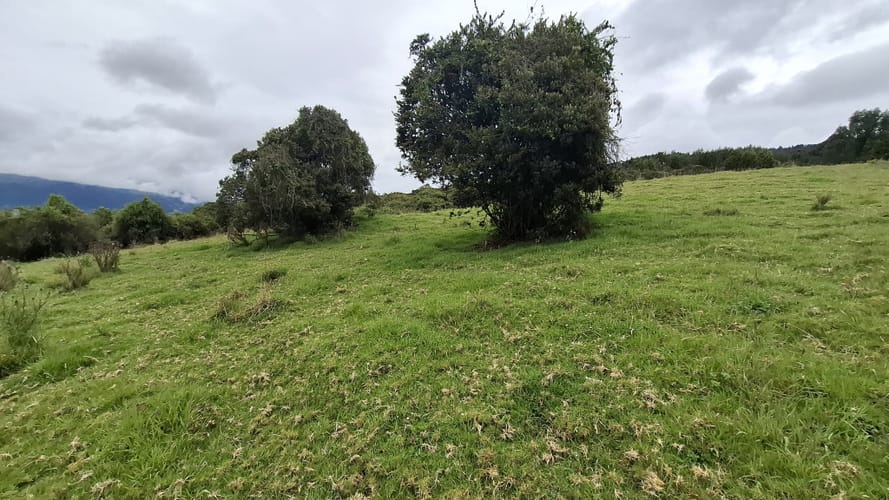 Finca en venta en Aposentos Parte Alta, Sopó · foto 15 de 24