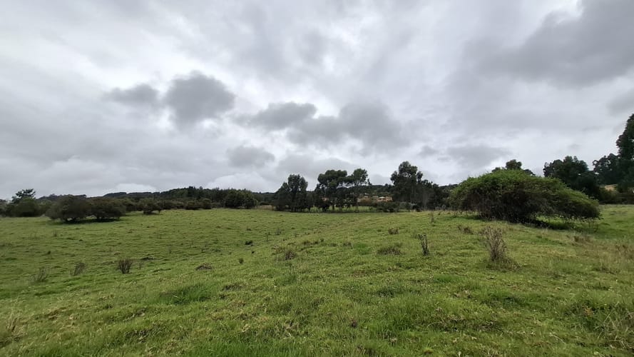 Finca en venta en Aposentos Parte Alta, Sopó · foto 17 de 24