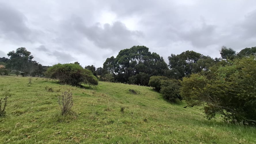 Finca en venta en Aposentos Parte Alta, Sopó · foto 18 de 24