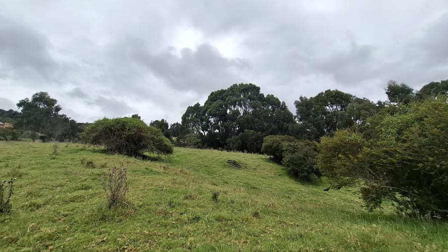 Finca en venta en Aposentos Parte Alta, Sopó · foto 19 de 24