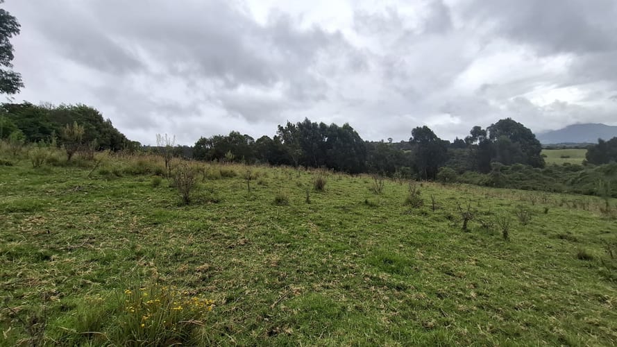 Finca en venta en Aposentos Parte Alta, Sopó · foto 23 de 24