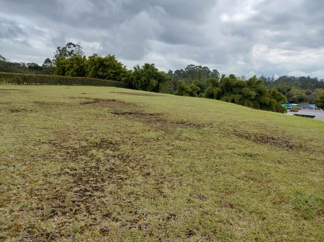Lote en venta en El Porvenir, Rionegro, 2500 m² · foto 3 de 7