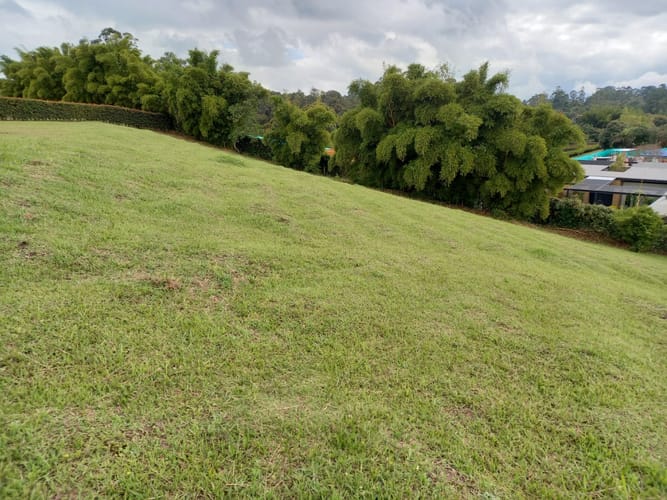 Lote en venta en El Porvenir, Rionegro, 2500 m² · foto 4 de 7