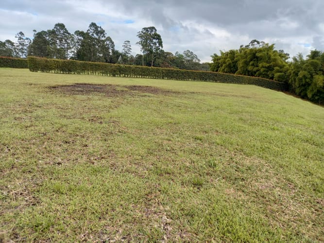 Lote en venta en El Porvenir, Rionegro, 2500 m² · foto 5 de 7