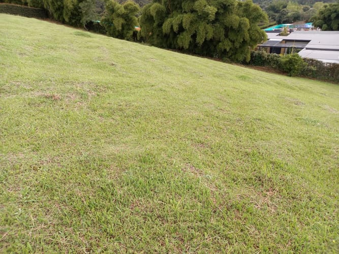 Lote en venta en El Porvenir, Rionegro, 2500 m² · foto 6 de 7