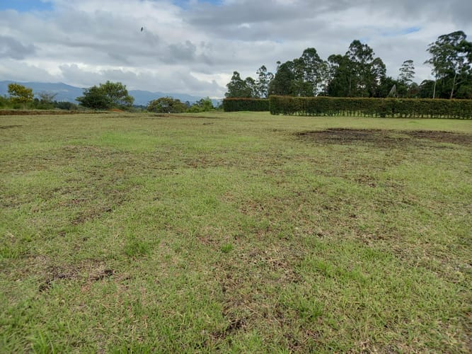Lote en venta en El Porvenir, Rionegro, 2500 m² · foto 7 de 7