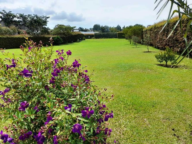 Lote en venta en El Carmen De Viboral, El Carmen de Viboral, 2347 m² · foto 3 de 6