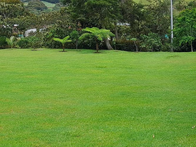 Lote en venta en El Carmen De Viboral, El Carmen de Viboral, 2347 m² · foto 4 de 6