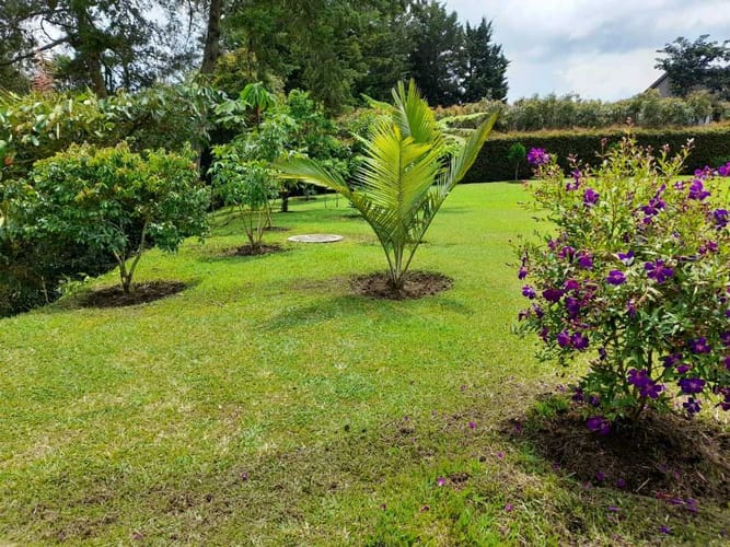 Lote en venta en El Carmen De Viboral, El Carmen de Viboral, 2347 m² · foto 5 de 6