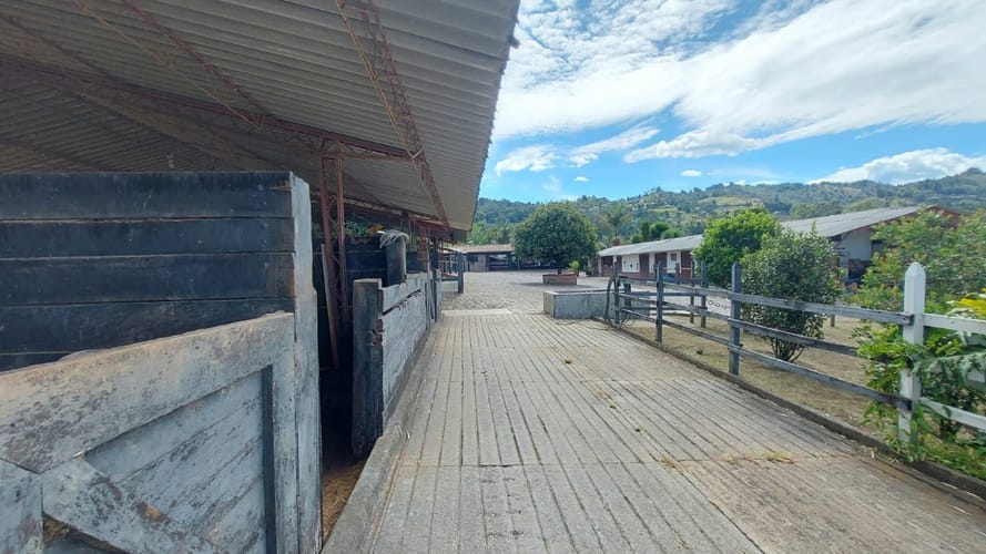 Finca en venta en Sajonia, Rionegro, 14238 m² · foto 11 de 20