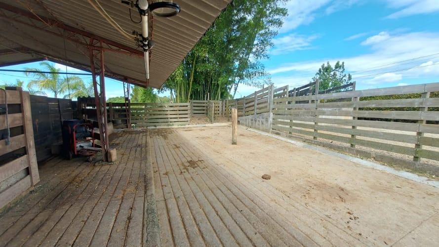 Finca en venta en Sajonia, Rionegro, 14238 m² · foto 15 de 20