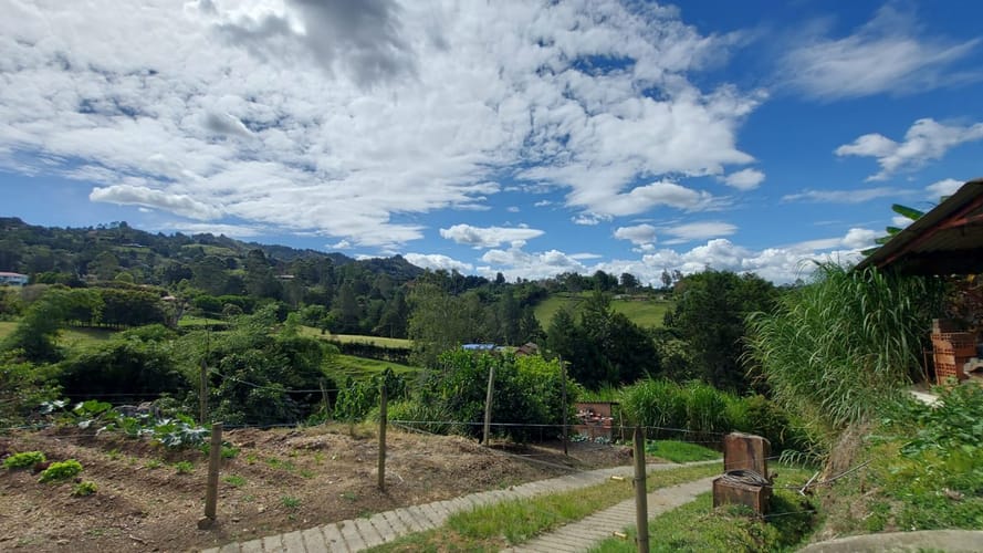 Finca en venta en Sajonia, Rionegro, 14238 m² · foto 19 de 20