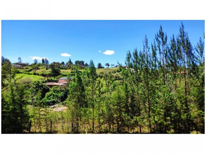 Casa de 4 alcobas en venta en Alto De La Virgen, Guarne · foto 13 de 15