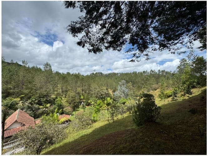 Casa de 4 alcobas en venta en El Chuscal, El Retiro · foto 5 de 24