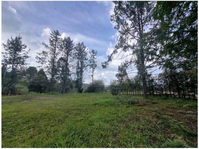 Lote en venta en Las Palmas, Envigado, 4476 m² · foto 6 de 10