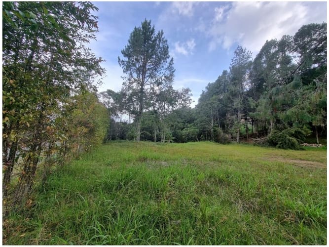 Lote en venta en Las Palmas, Envigado, 4476 m² · foto 8 de 10