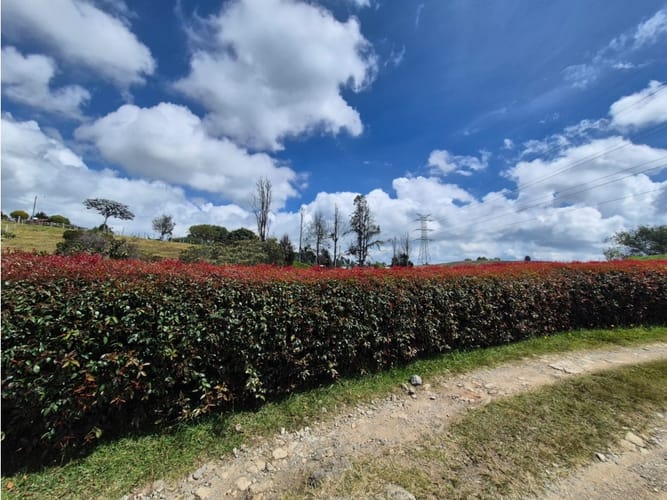 Finca en venta en San Felix, Bello, 234 m² · foto 4 de 24