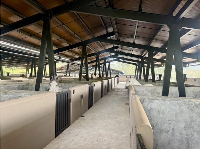 Lote en venta en Las Palmas, Envigado, 1260 m² · foto 13 de 14
