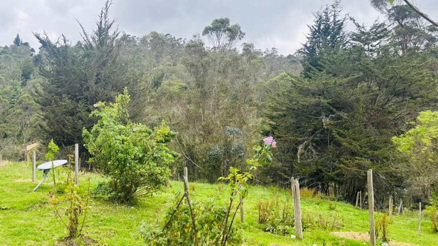 Casa de 2 alcobas en arriendo en El Libano, La Calera, 2000 m² · foto 2 de 14
