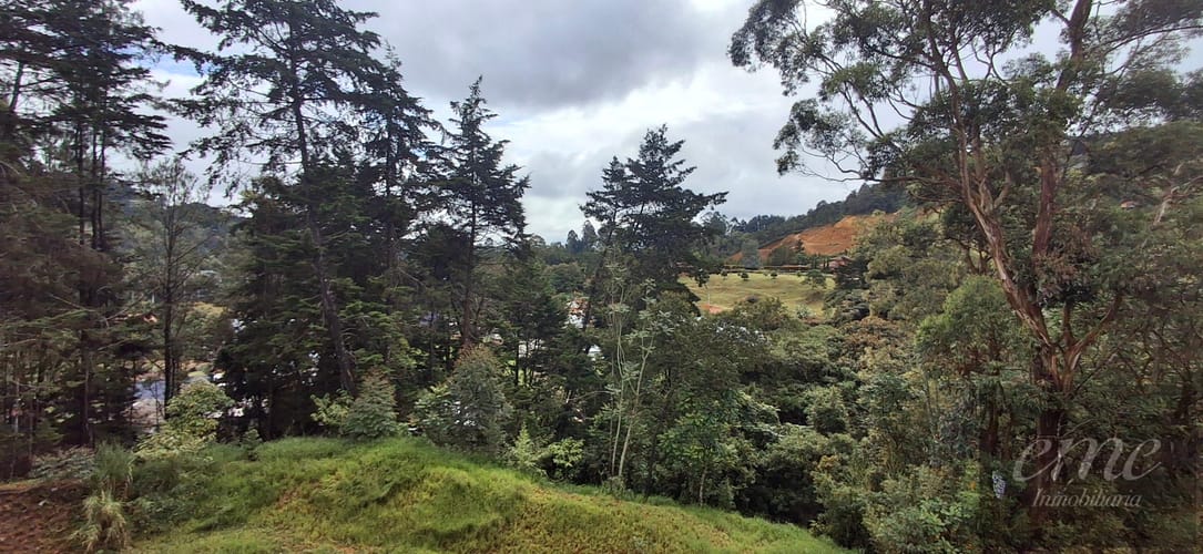 Apartamento de 3 alcobas en arriendo en La Convencion, Rionegro, 166 m² · foto 6 de 24