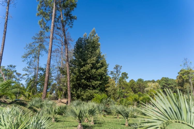 Apartamento en alquiler de 1 dormitorio y cochera en Haras del lago · Foto 8
