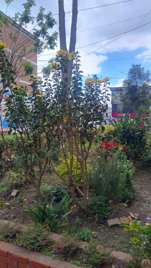 Apartamento de 3 alcobas en venta en Kennedy Central, Bogotá, 60 m² · foto 20 de 24