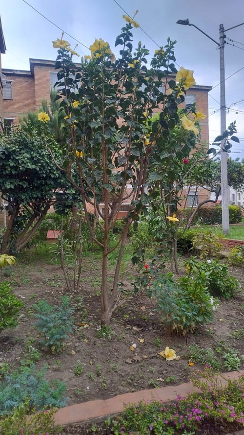 Apartamento de 3 alcobas en venta en Kennedy Central, Bogotá, 60 m² · foto 19 de 24