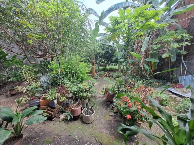 Casa de 6 alcobas en venta en Centro, Villavicencio, 240 m² · foto 12 de 13