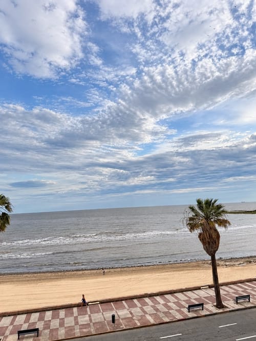 APARTAMENTO DE 2 DORMITORIOS FRENTE AL MAR – RAMBLA DE POCITOS · Foto 5