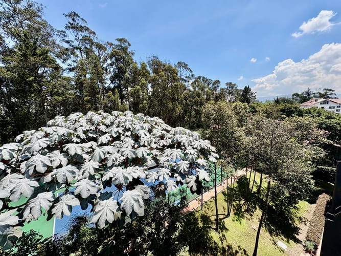 Apartamento de 4 alcobas en venta en Club De Los Lagartos, Bogotá, 245 m² · foto 14 de 20
