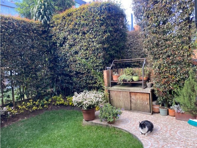 Casa de 4 alcobas en venta en Casa Blanca Suba, Bogotá, 138 m² · foto 17 de 19