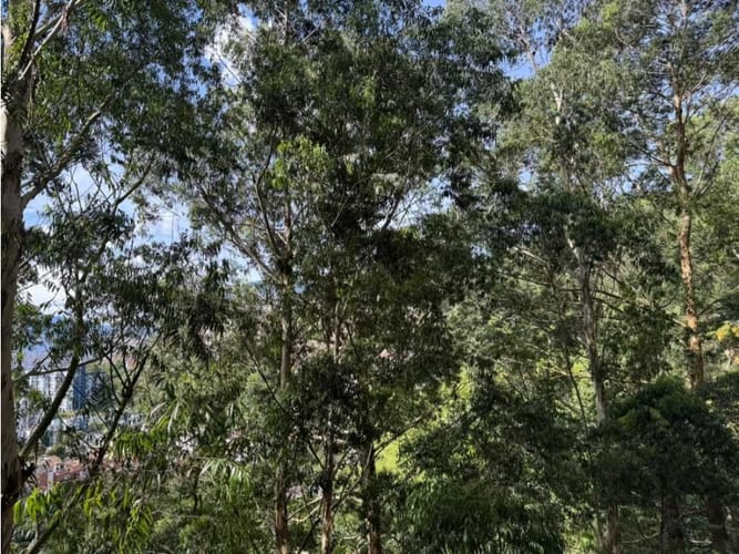 Apartamento de 2 alcobas en venta en Las Palmas, Medellín, 71 m² · foto 7 de 12